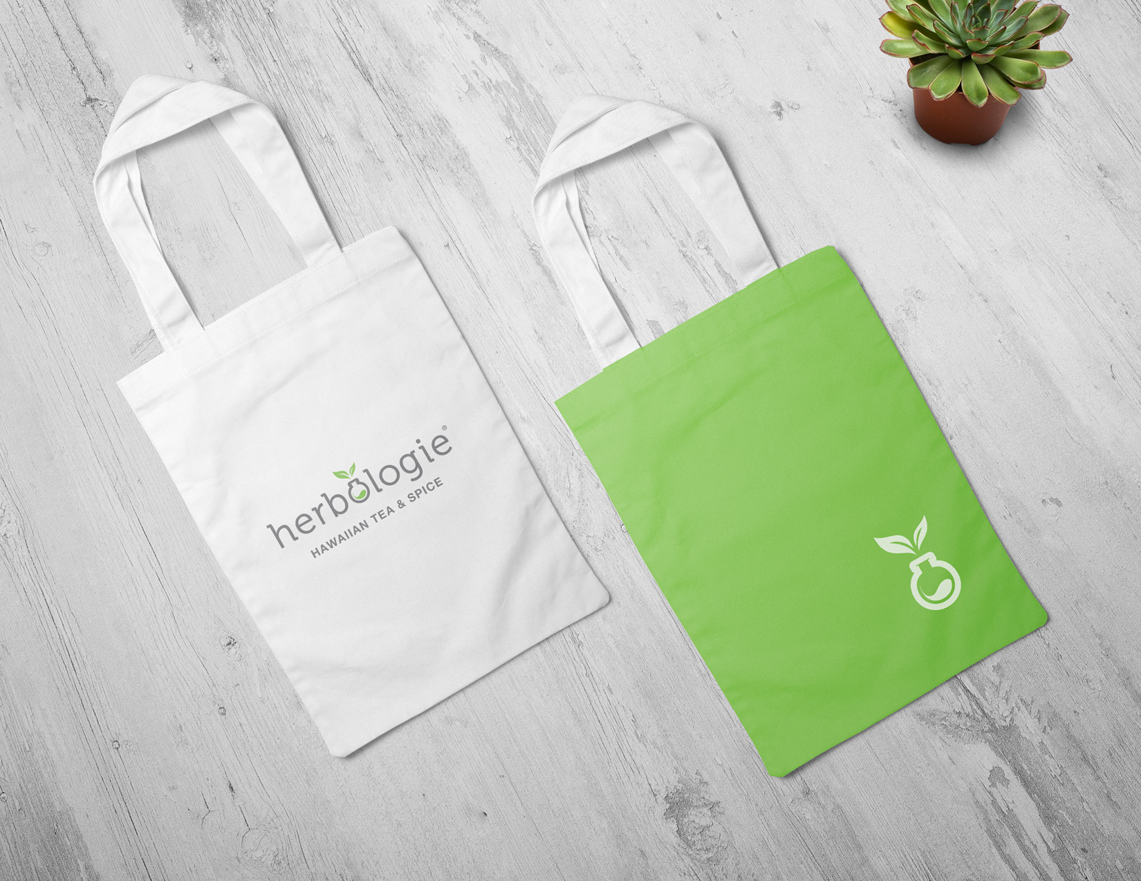 Herbologie Tea & Spice